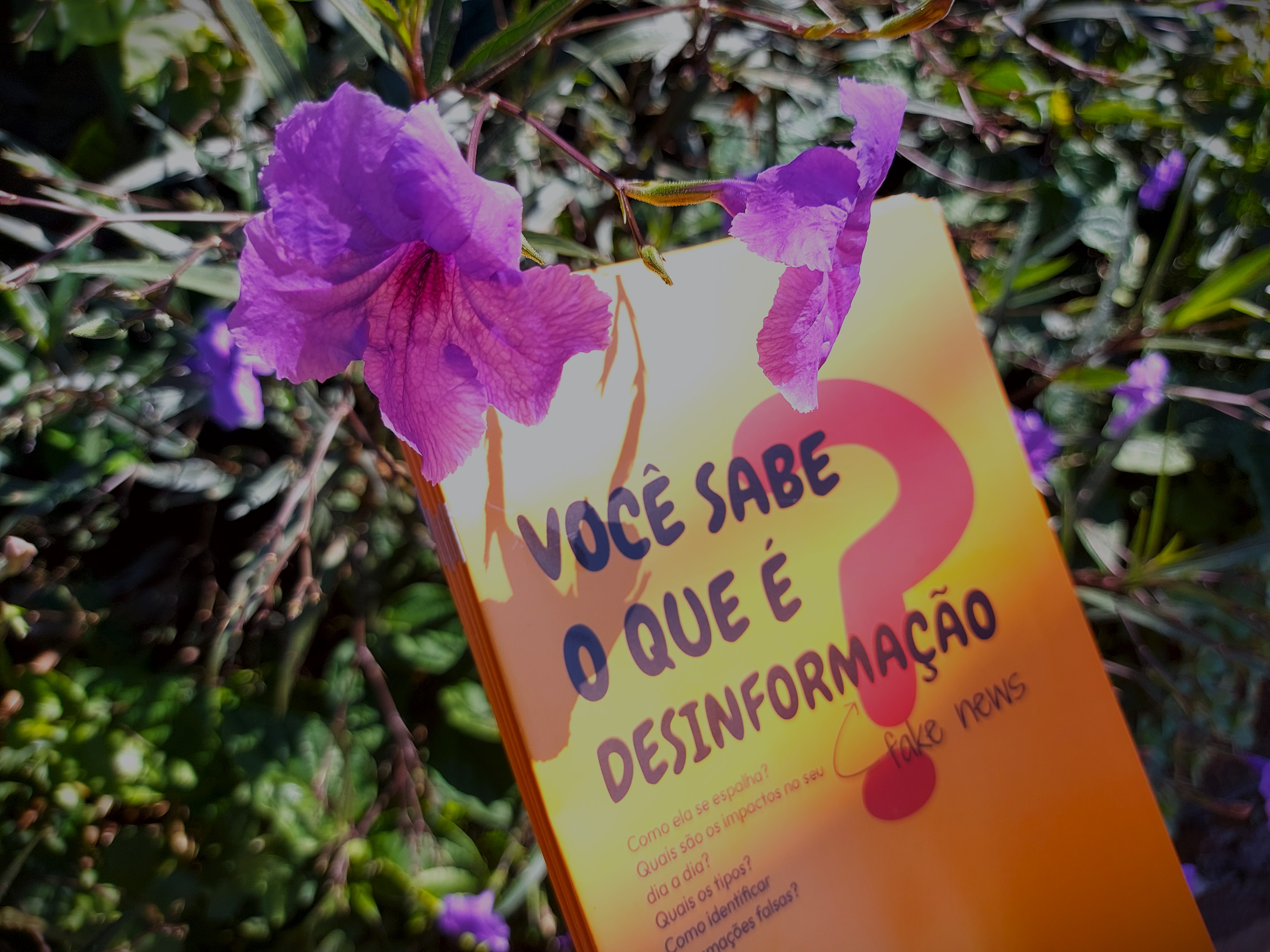 Cartilha sobre desinformação é lançada